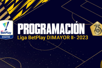 Programación de Dimayor