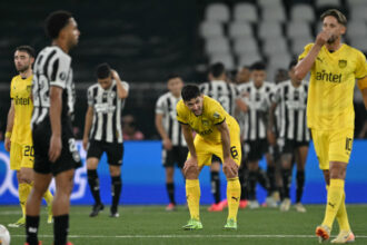 Botafogo humilló a Peñarol y será finalista de la Libertadores 2024