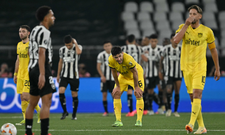 Botafogo humilló a Peñarol y será finalista de la Libertadores 2024