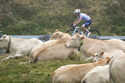 Se acorta la etapa 19 del Tour tras descubrirse un brote de enfermedad bovina