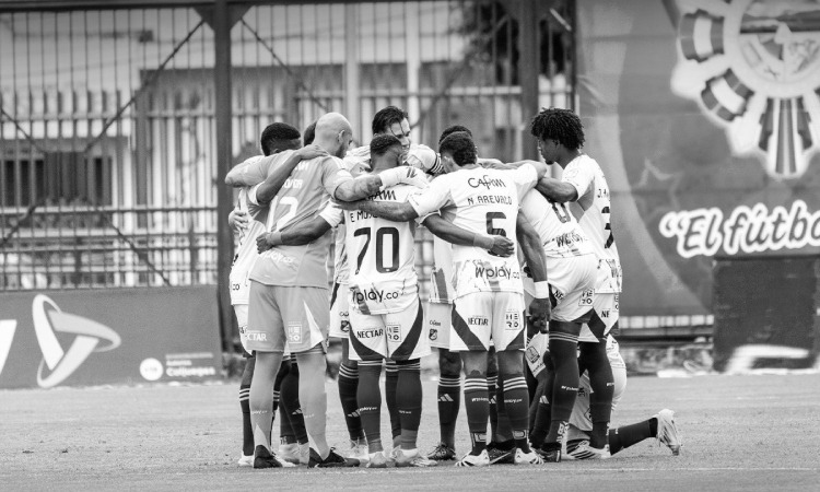“Millonarios desde que se fue González cambió la actitud, pero el fútbol es igual de mediocre” Viral hincha de Nacional