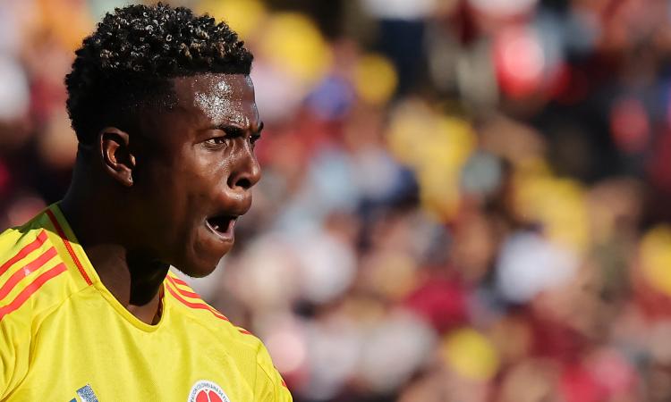 Millonarios: técnico de Colombia defendió a Néiser Villarreal