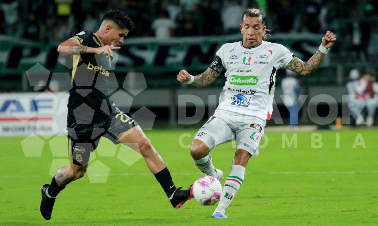 Foto: Dimayor