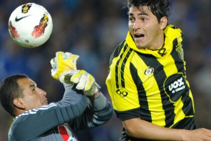 Nelson-Ramos