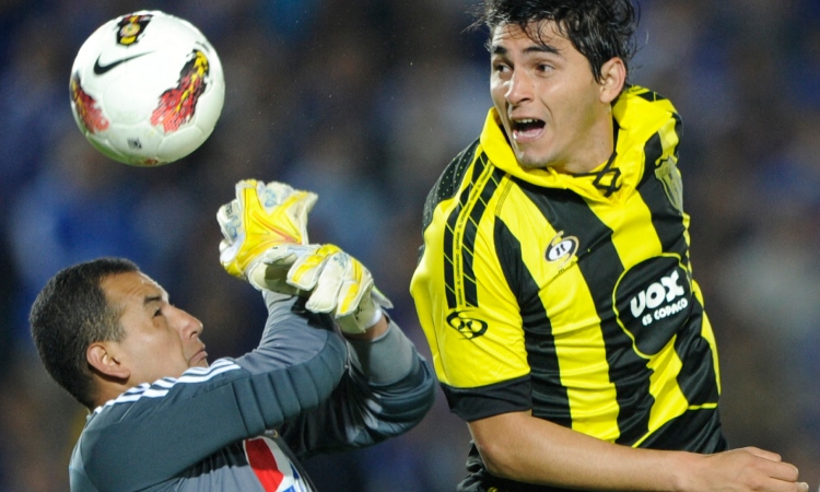 Nelson-Ramos