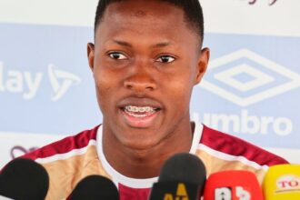 tolima - 2026 - david gonzález.jpg