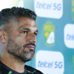 Gandolfi León de México