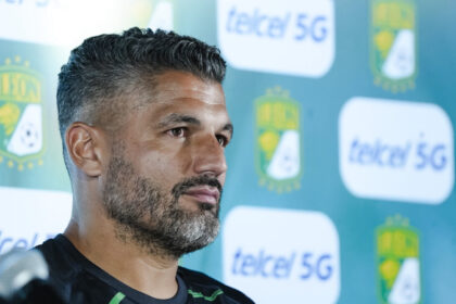 Gandolfi León de México