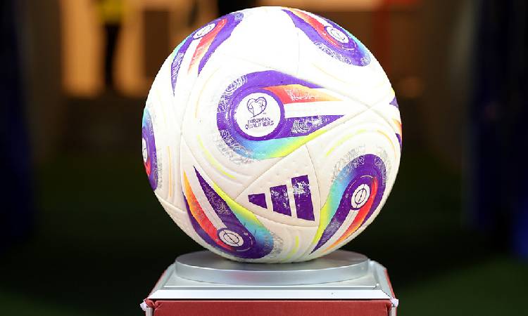 Suecia, Turquía, República Checa y Bosnia clasificaron al Mundial